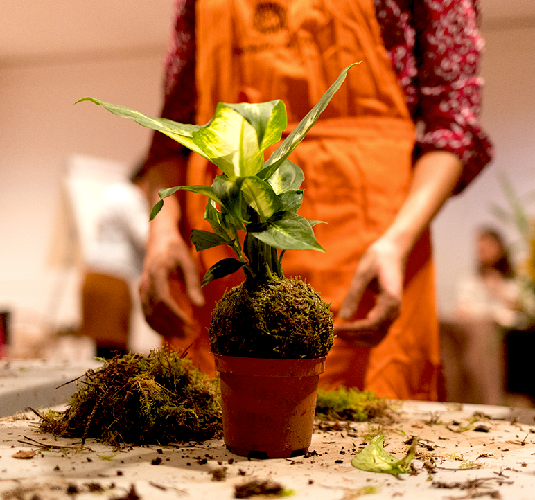 atelier diy montpellier